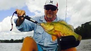 Trolling hard bodies for Yellow Belly & Bass|TheHookandTheCook| Paul Breheny