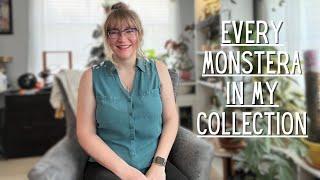 Monstera Collection Tour! Every Monstera in My Plant Collection - Houseplant Tour