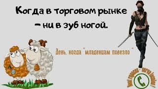 Когда эксперт понимает в рынке как поросёнок в апельсинах.. (автор - Ольга Борисовна)