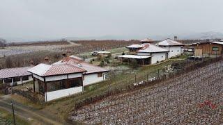 Umetnost u čaši ep. 114 11.01.2022. Vinarija "Nika", Aleksandrovac