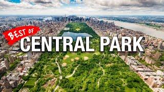 How To See Central Park NYC in A Few Hours!