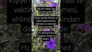 Allah'ım, bizi namazı vaktinde kılan kullarından eyle.Âmin. #keşfet #amin #ayet #dua #öneçıkar