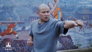 Powerful Shaolin Kung Fu Punch - Basics Tutorial