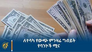 ለተሳካ የውጭ ምንዛሬ ግብይት የባንኮች ሚና /ፋና ቢዝነስ/