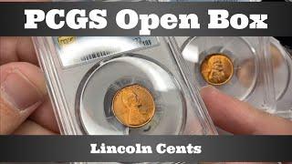 PCGS Open Box - Lincoln Cents