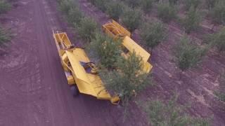 AFRON Harvesters and Shakers TWIN D MACHINE