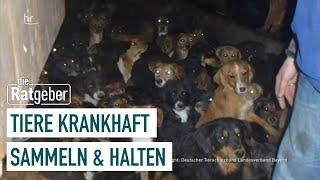 Animal Hoarding – Die Sucht, Tiere zu sammeln | Die Ratgeber