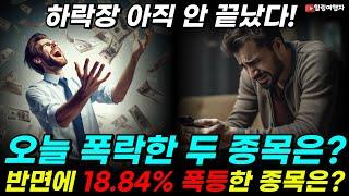 하락장 아직 안 끝났다! 실적 발표 후 폭락한 두 종목은?? 반면에 18.84% 폭등한 종목은? 월가의 전문가들 본격적인 경기 침체 경고?!