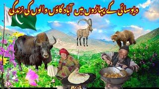 Very difficult life on mountain near deosai national park Skardu|Village life in skardu baltistan.