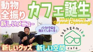 【超越】動物に全振りしました！skagamike caféいよいよ完成！そしてニャンコは新たな大冒険への準備！