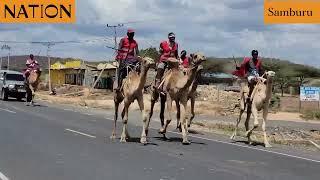 Samburu hosts this year's camel derby in Archers Post, event merged with Maa Cultural Festival