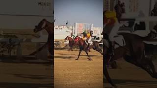 #horseracing #krc #horselovers #equestrian #sports #EHTISHAMMURTAZA #youtubeshorts YouTube