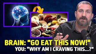 NEUROSCIENTIST: TRUTH about FOOD CRAVINGS REVEALED | Andrew Huberman