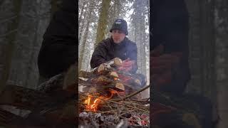 Sometimes we need this therapy #camping #outdoors #bushcraft #forest #nature #asmr