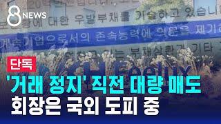 [단독] '거래 정지' 직전 대량 매도…금융위, 강제수사 착수 / SBS 8뉴스