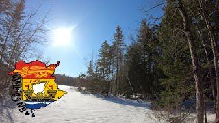 Scout - Bouctouche Line - Dragonfly Loop at Irishtown Nature Park, Moncton, NB | Real Time Walking