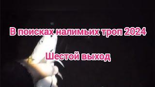 Рыбалка на донку на налима . В поисках налимьих троп . В поисках рыбных мест . Рыбалка 2024 . Налим