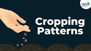 What are the Cropping Patterns | Don't Memorise