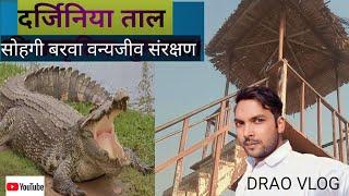 darjiniya tal nichlaul | DarjiniyaTaal |दर्जिनिया ताल | nichlaul maharajganj |sohagi barwa jungl