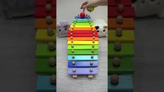 Satisfying︎ Marble run ︎↙︎(Xylophone) #xylophone #dominogirl #marblerun