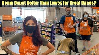 Home Depot Better than Lowes for Great Danes?