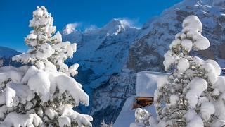 Beautiful Winter Scenes in Switzerland - Winter in Wengen - Mürren