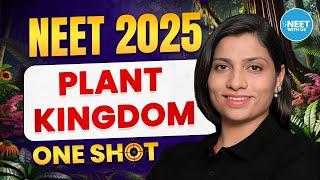 NEET 2025 | Plant Kindom One Shot | NEET Biology Revision | Ritu Rattewal Ma'am #neetbiology