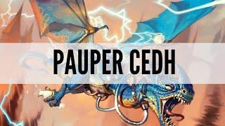 How Powerful Is Pauper CEDH?! | Pauper CEDH Gameplay