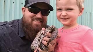 Ohio Snakes - First snake bite! 3 species and more! 4th of July Week 2019