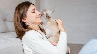 Why Does My Cat Lick Me?