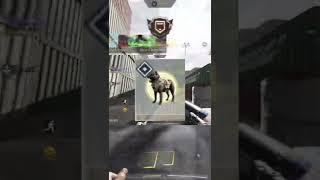 Fastest Way to level up in CODM #callofduty #gaming #codm #codmobile