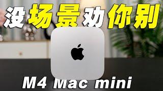 M4 Mac mini小巧强悍 但没场景 劝你别冲动 Macbook Pro或许是你第一选择