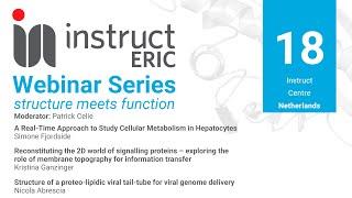 Instruct-ERIC Webinar Series: structure meets function - Webinar 18 Instruct-NL