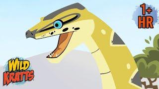 The Food Chain Game | NEW | Wild Animal Cartoons for Kids | Wild Kratts | 9 Story Kids