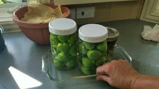 Pickled (fermented) Immature Green Plums