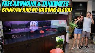 Binigyan Ako Ng Arowana at Monster Fish!