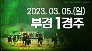 (부산)‘23.3.5.1R 두바이 원정 좀 가자는데 칼잡이와 망치가 쫓는 형국!