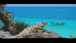 The highlights of Yucatan, Mexico!