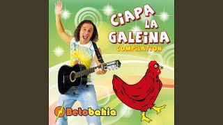 Ciapa la galeina