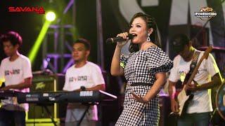 WES TATAS || ICHA KISWARA ( Official Live Music )LIVE SAVANA SAKJOSE | PM AUDIO MADIUN