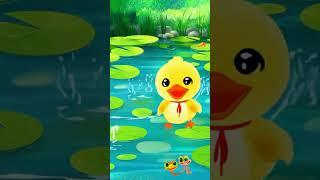 Mr. Quack 