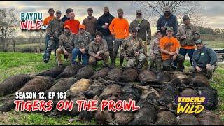 Bayou Wild [ep 162] TIGERS ON THE PROWL | Season 12 full episode | Hog Hunting in SWLA Marsh