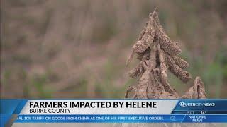 NC farmers still recovering after crops lost due to Hurricane Helene