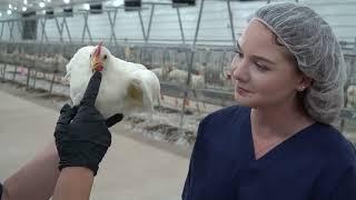 Poultry Science - Careers