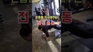 #천안와이짐 #땀샘 폭발#그룹PT#30분운동전신 #근력 및 근지구력 운동, 심폐지구력 운동. 준비 운동부터 정리 운동까지 28분이면 끝️