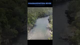 Adventure Awaits at the Chassahowitzka River: Virtual Visit