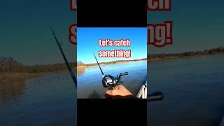 Let's Catch Fish, Ultralight Baitcasting Style! #fishing #ultralightfishing #bfsfishing