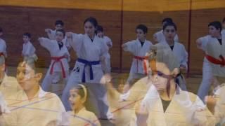 Shotokan Karate Studio - Fresh Meadows, NY