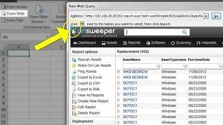 Link LanSweeper report to Excel