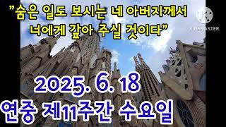 오늘미사《2025.6.18 연중제11주간 수요일》매일미사/복음묵상/강론/전례독서연습